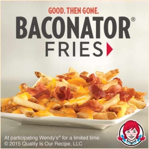 BaconatorFries_Mobile_500x500